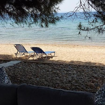 "Pine&Sea" Kastamoniti Beach Nikiti  Ngoại thất bức ảnh