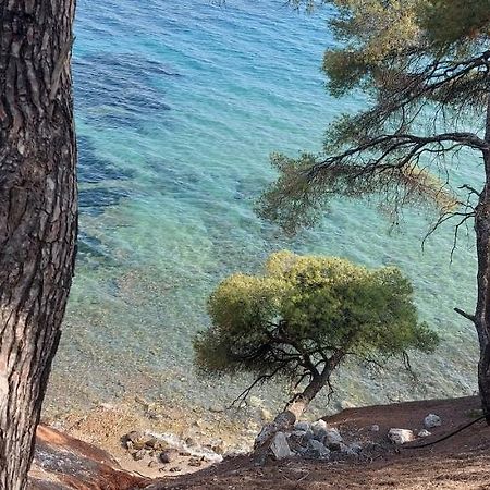 "Pine&Sea" Kastamoniti Beach Nikiti  Ngoại thất bức ảnh