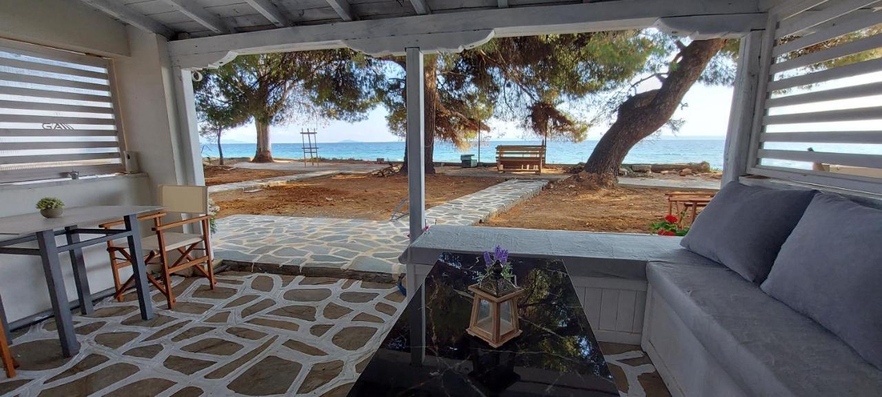 "Pine&Sea" Kastamoniti Beach Nikiti  Ngoại thất bức ảnh