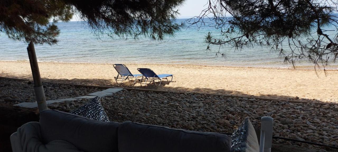 "Pine&Sea" Kastamoniti Beach Nikiti  Ngoại thất bức ảnh