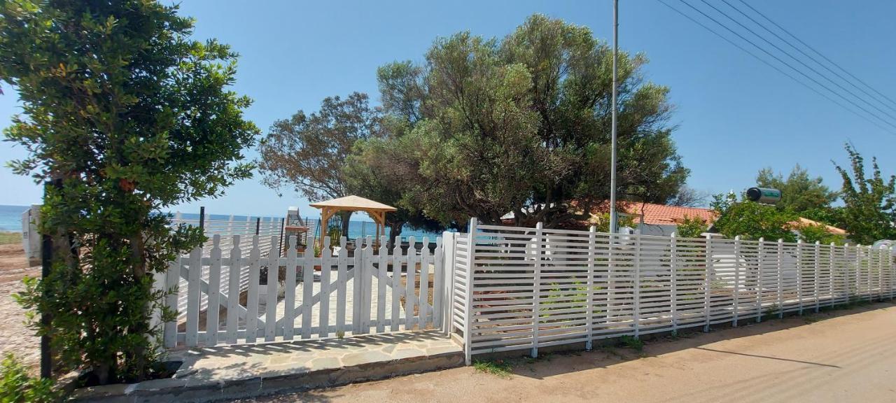 "Pine&Sea" Kastamoniti Beach Nikiti  Ngoại thất bức ảnh