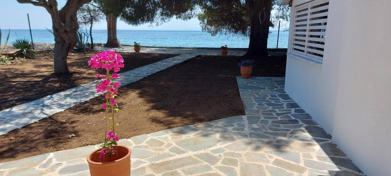 "Pine&Sea" Kastamoniti Beach Nikiti  Ngoại thất bức ảnh