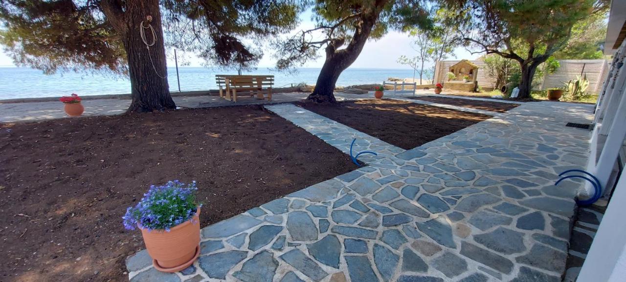 "Pine&Sea" Kastamoniti Beach Nikiti  Ngoại thất bức ảnh