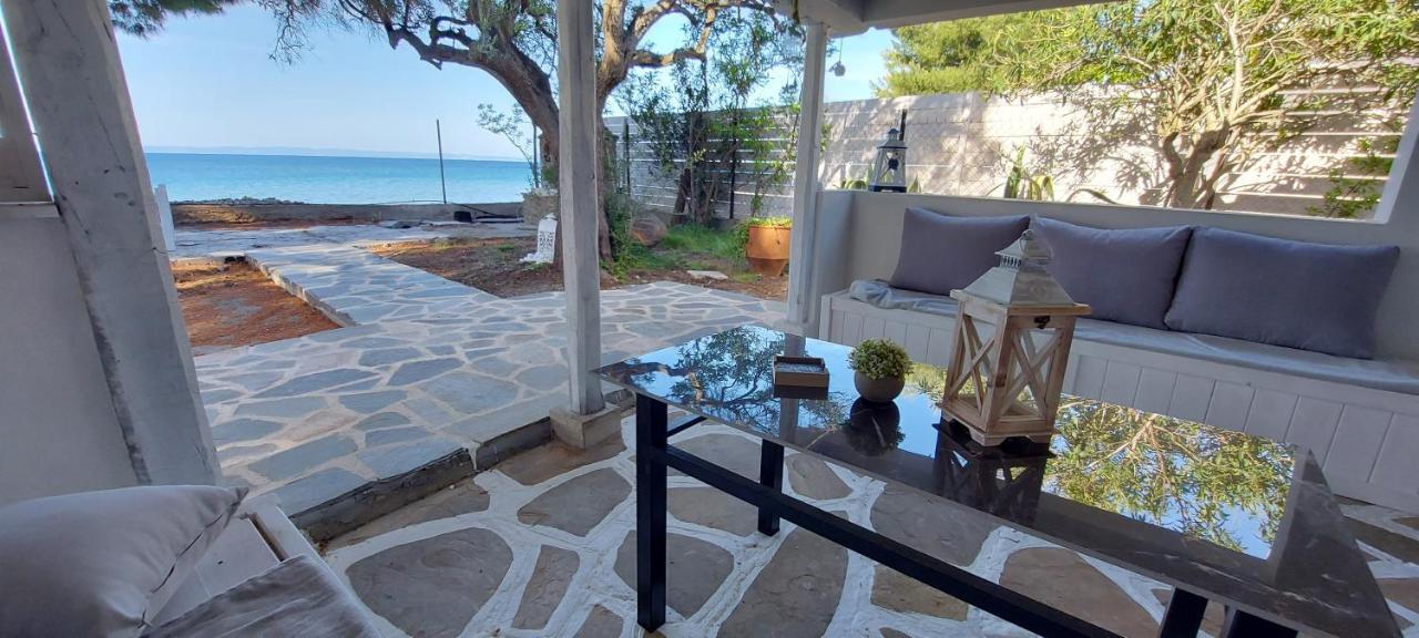 "Pine&Sea" Kastamoniti Beach Nikiti  Ngoại thất bức ảnh