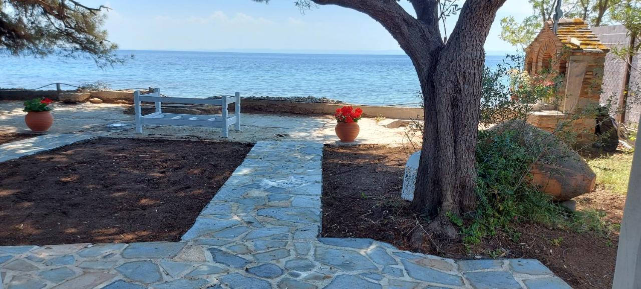 "Pine&Sea" Kastamoniti Beach Nikiti  Ngoại thất bức ảnh