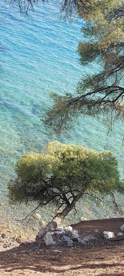 "Pine&Sea" Kastamoniti Beach Nikiti  Ngoại thất bức ảnh